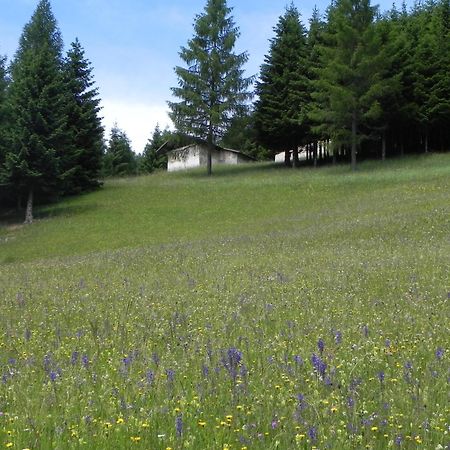 Hotel Isolabella Wellness Фиера ди Примиеро Екстериор снимка
